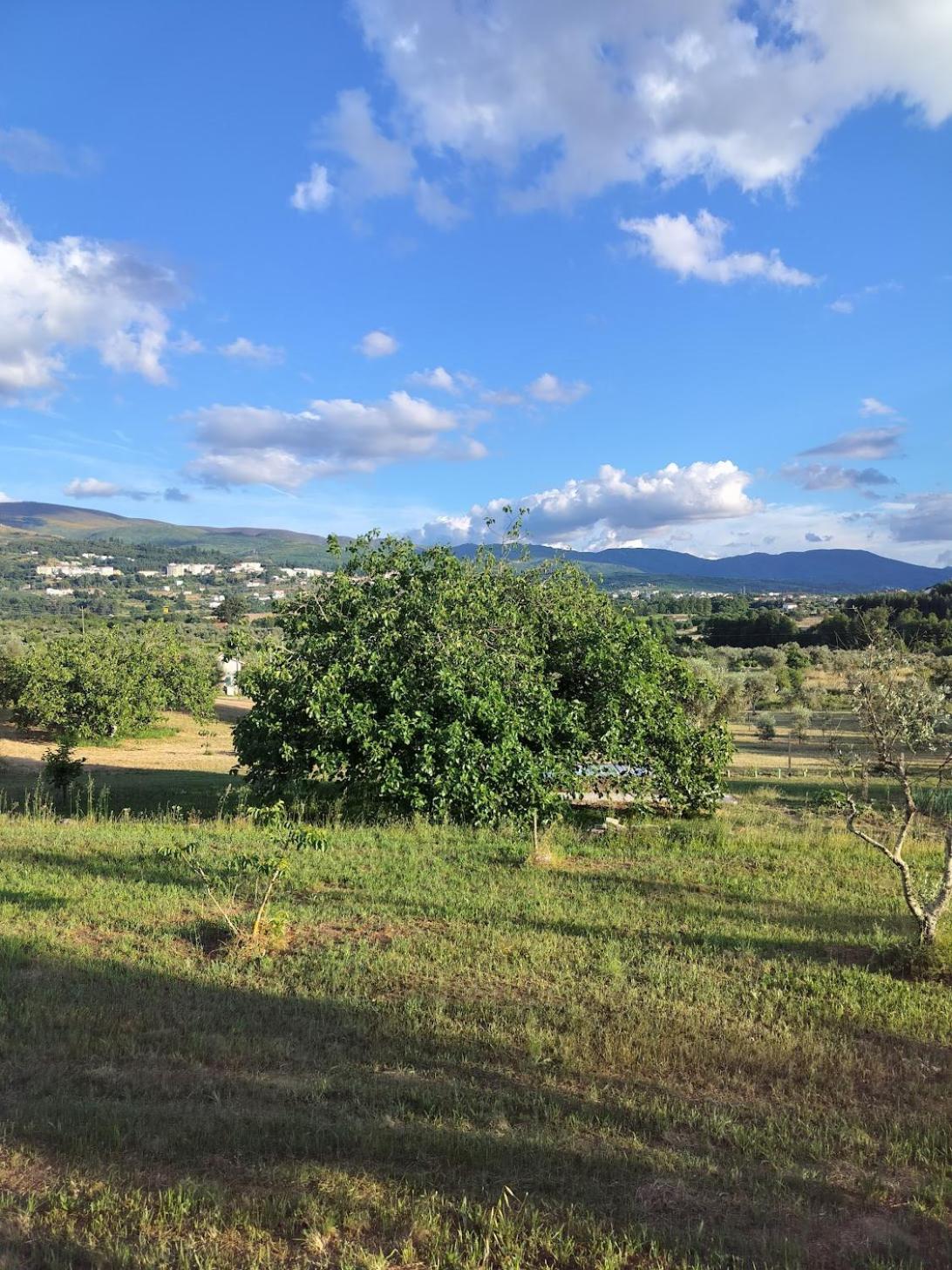 Arpuro Gouveia (Guarda) Exterior foto